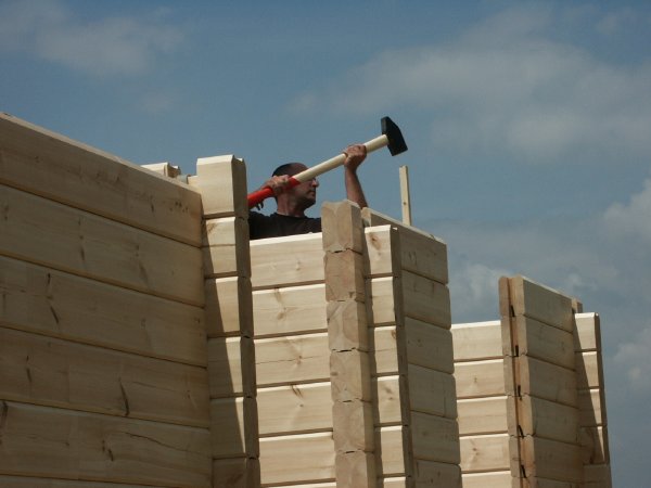 Holznagel