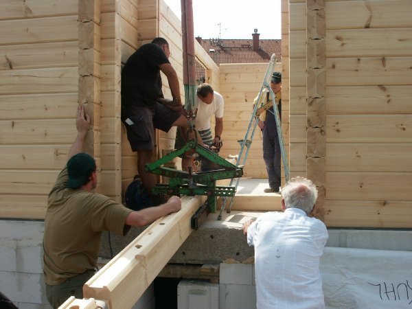 Holz hin ...